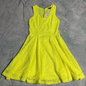 NWT! Neon Express Dress